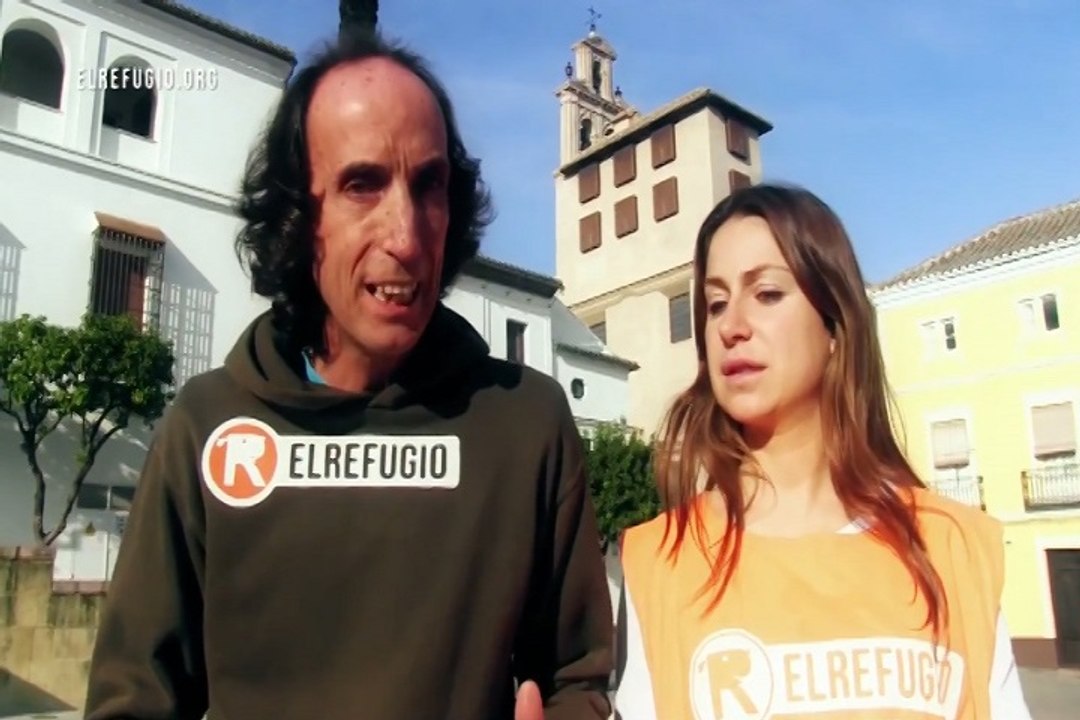 El Refugio rescata a una familia de perros abandonados