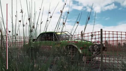 DiRT Rally - Intro and Tips