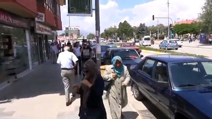 Kargalar, yavrusuna dokunan vatandaşa böyle saldırdı