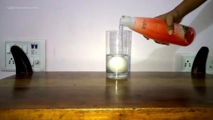 Kids Science Experiment - How to Convert an Egg into Bouncing Ball