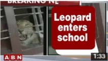 Latest News - Leopard enters school premises in Karnataka, 3 injured (23-07-2015)