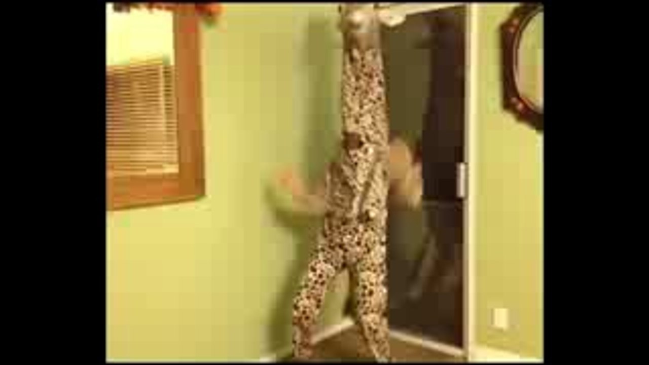 Try Not To Laugh