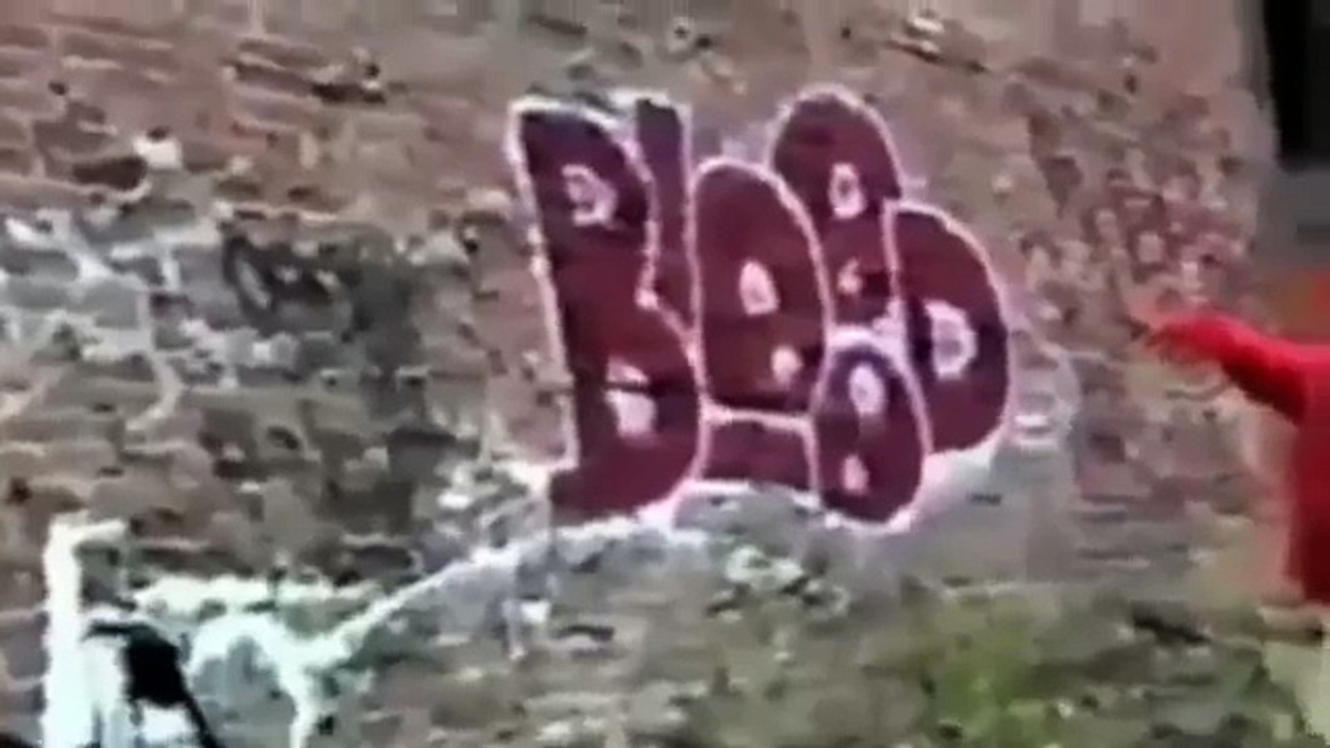 Bloods One Of The Most Dangerous Gang In USA Crime Documentary