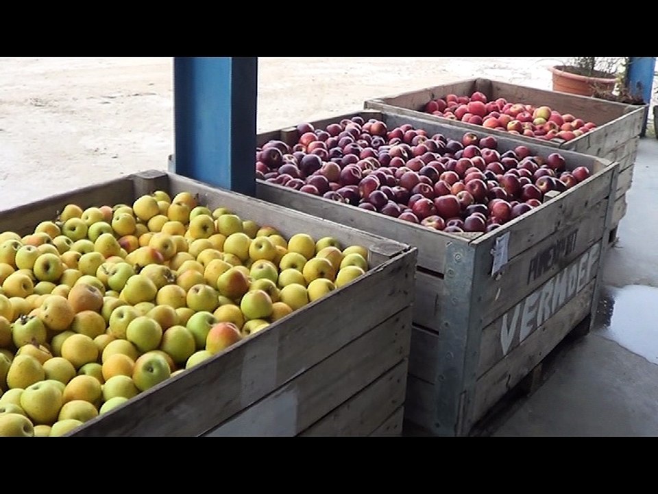 VERHOEF-dons-de-pommes-Associations