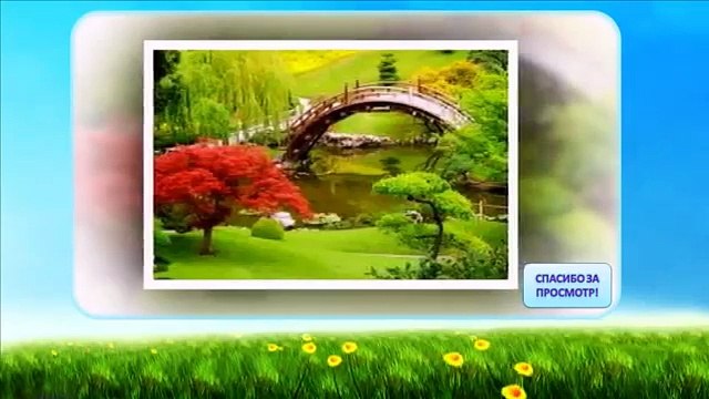 Сады, парки, природа 4