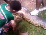 Un serpent : dans son ventre ils trouvent un chien