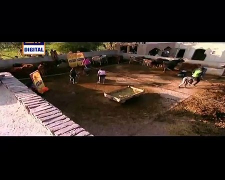 Desi Kuriyan Season 6 Episode 2 on Ary P2