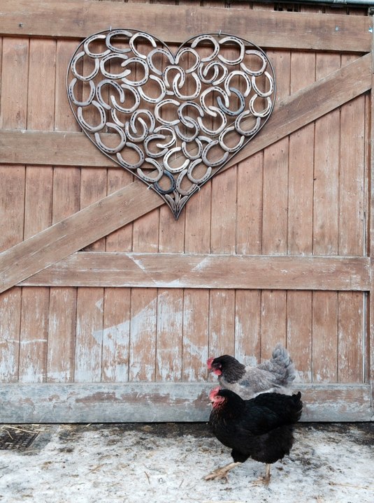 skijoering à Méribel