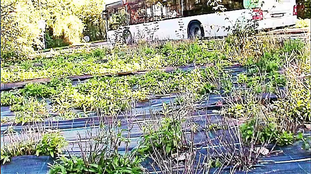 Kreisverkehre in Köln – 03