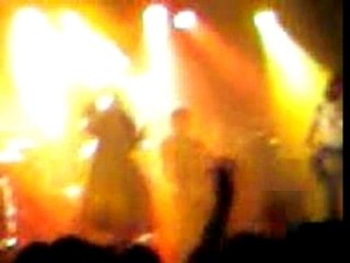 Le maximum kouette aux papillons