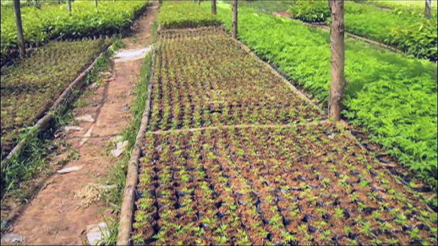 Marbella Trestle Table- The History of a Unique Dining Table Design - Pottery Barn