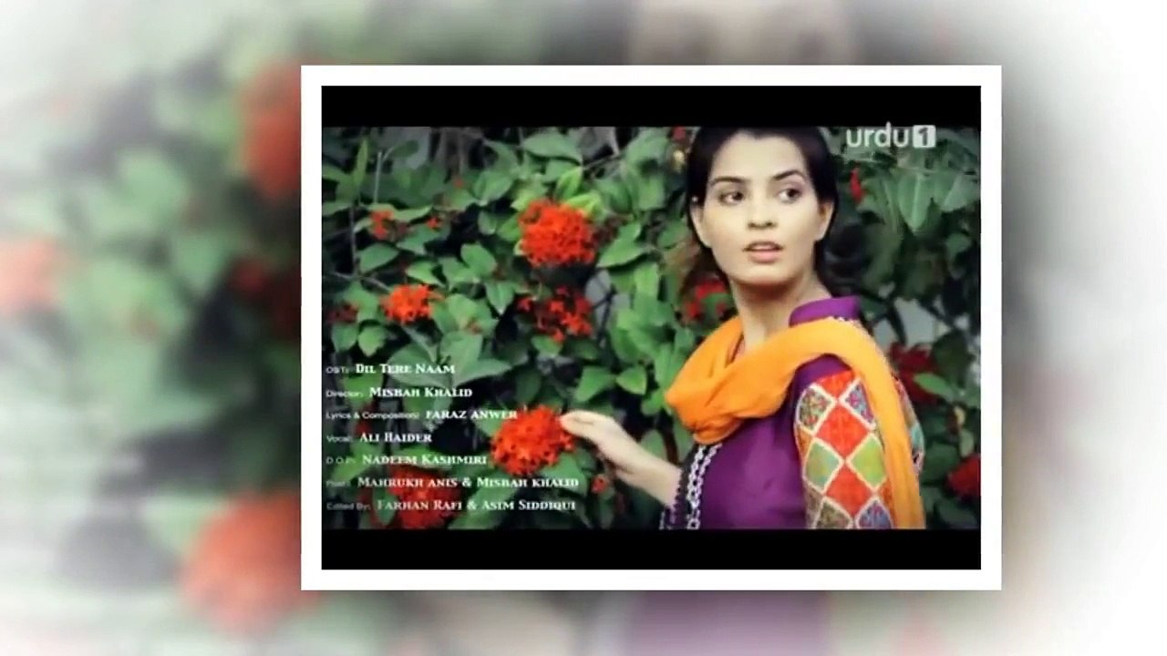 Dil Teray Naam Ost