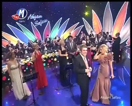 türk sanat müziği alp arla n ayşen birgör