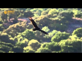 Hatiku Percaya (Minus One)