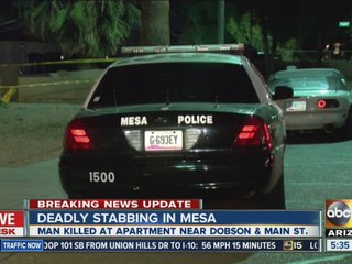 Deadly stabbing investigation in Mesa