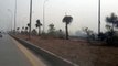 Billion Tree Tsunami- Plantation Along Motorway in Peshawar, Exclusive Video