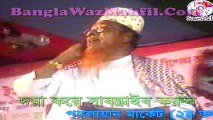 Bangla waz 2015 new full by habibur rahman juktibadi (5)