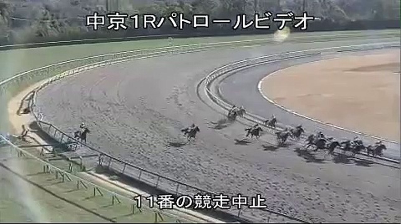 競馬   マーキークラブ(浜中 俊騎乗)の落馬レース　パトロールビデオ
