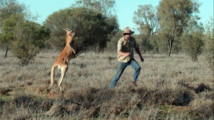 Raging Roger the Kangaroo | Kangaroo Dundee