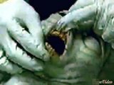 The Real Alien Footage Caught On Tape   Hybrid Creatures hd 720p