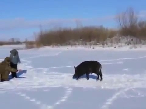 Встреча на Эльбе