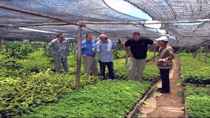 The Hudson Bedroom Collection - Pottery Barn