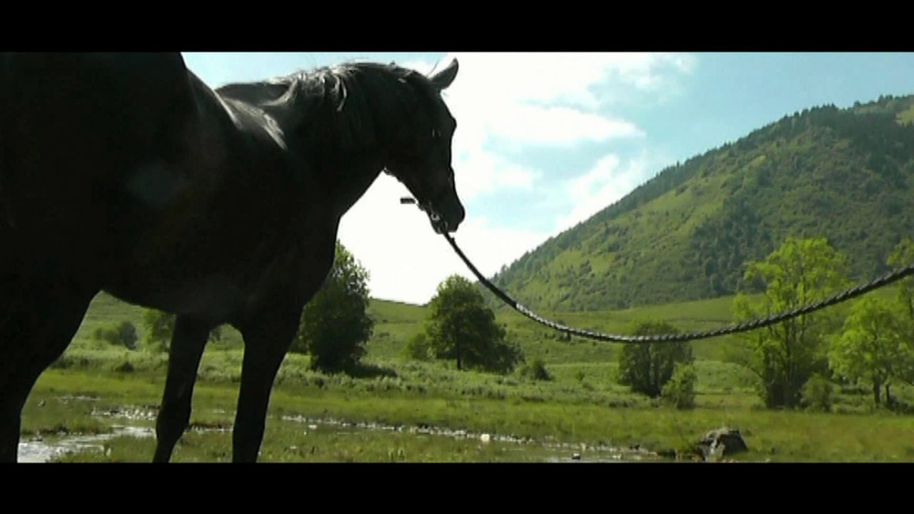 Périples à Poney - Pyrénées 2015