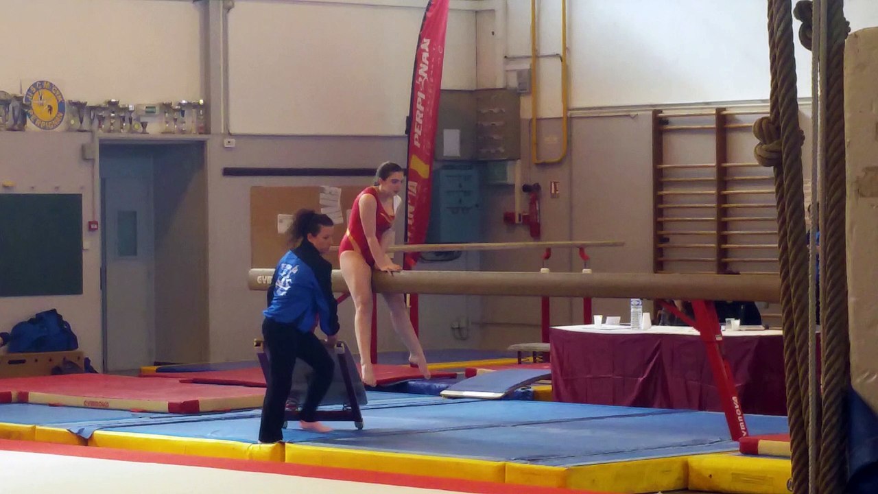 compétition départementale gymnastique février 2016