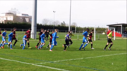 DBFC17 CHAMOIS NIORTAIS