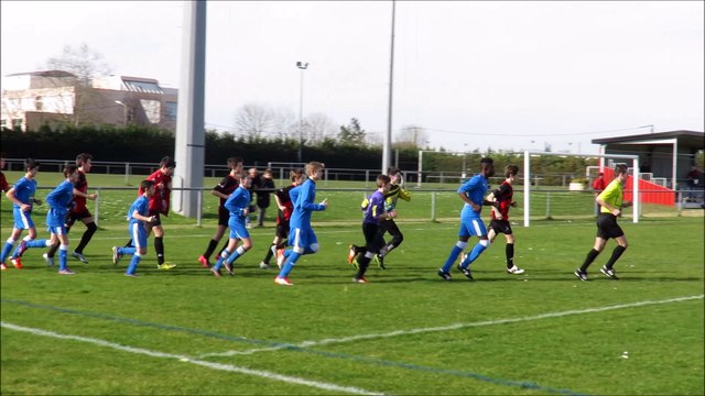 DBFC17 CHAMOIS NIORTAIS