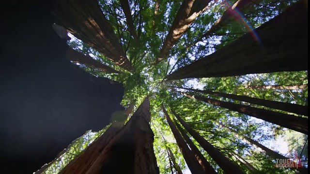 We Are Tough Mudder - #ItsAllBeenTraining - Tough Mudder