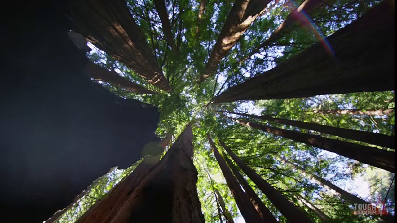 We Are Tough Mudder - #ItsAllBeenTraining - Tough Mudder