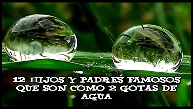 12 HIJOS Y PADRES FAMOSOS QUE SON COMO 2 GOTAS DE AGUA