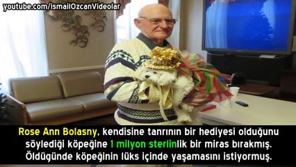 Dünyanın En Zengin 10 Hayvanı