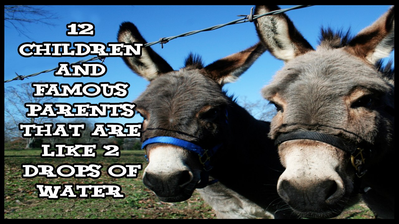 12 CHILDREN AND FAMOUS PARENTS THAT ARE LIKE 2 DROPS OF WATER