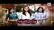 Zameen Pe Chand Episode 48 Full HUMSITARAY TV Drama 1 July 2015