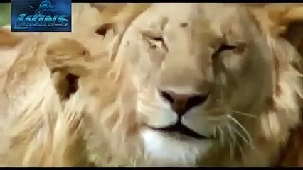 OnYukleme 56b7ca5a94f01