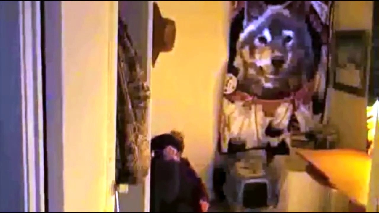 NEW The Best Fails of April 2015 - Part 3 Fail Compilation