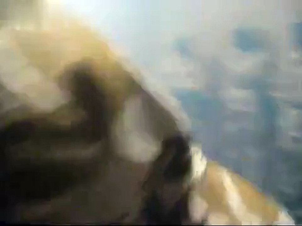 British army gas chamber training,a lot of you will have the T-SHIRT lol.