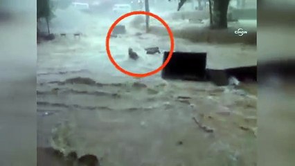 Sel sularında dehşet anları!