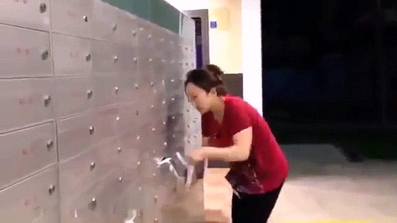 CARTERA NIVEL EXPERTO (360p)