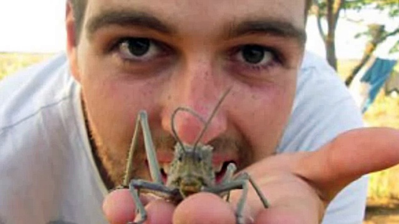 Backpacker's horror after flea and hundreds of eggs burst out of his FOOT after trip to Tanzania