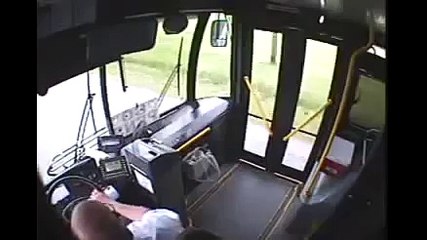 CIERVO VS AUTOBÚS (360p)