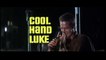 Cool Hand Luke (1967) - Official Trailer - Paul Newman, George Kennedy Movie HD