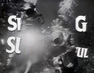 Creature from the Black Lagoon Official Trailer #1 - Julie Adams Movie (1954) HD