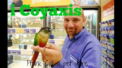 Prank Calling A Pet Store!!