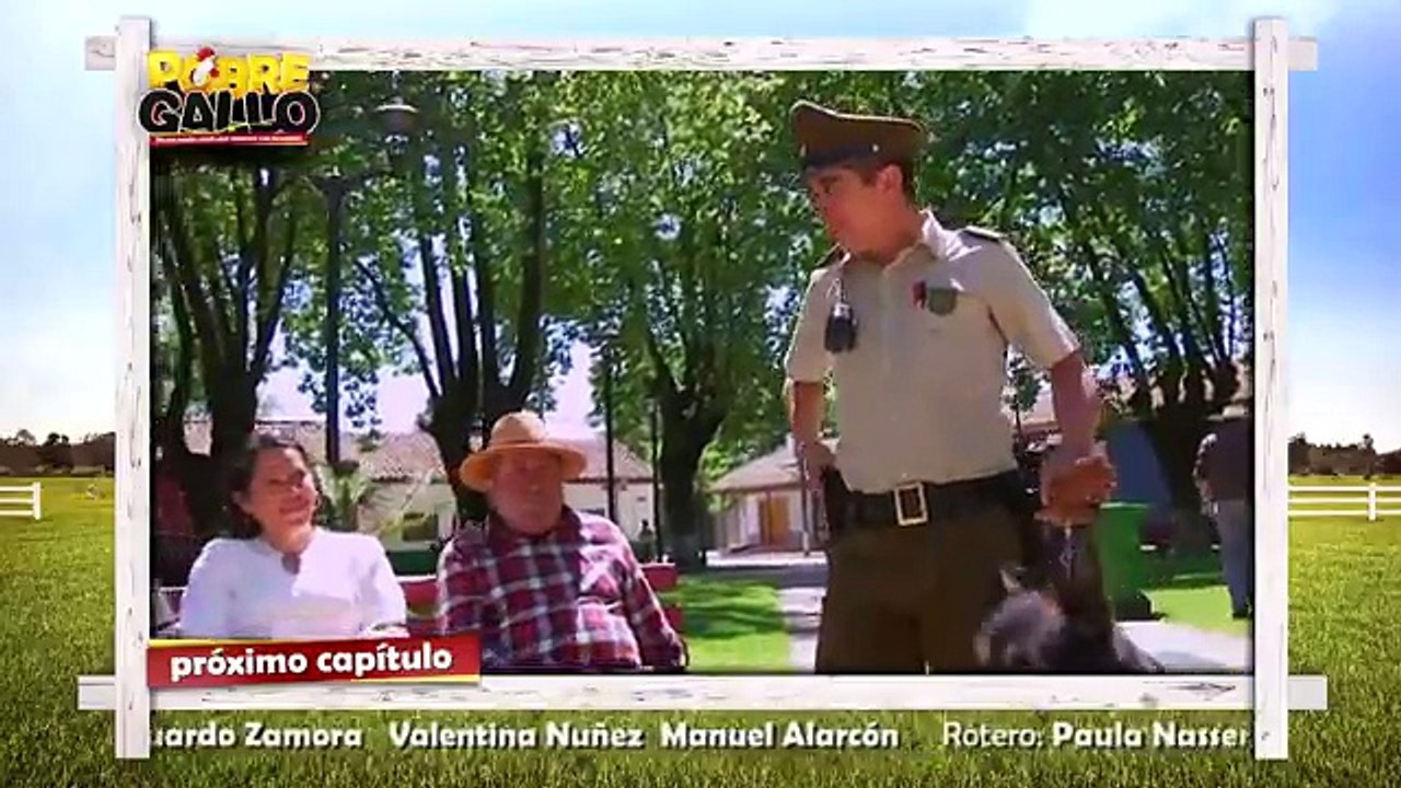 24 Avance-Pobre Gallo