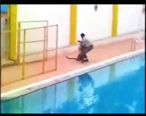 leopard attack in school and camera man in india