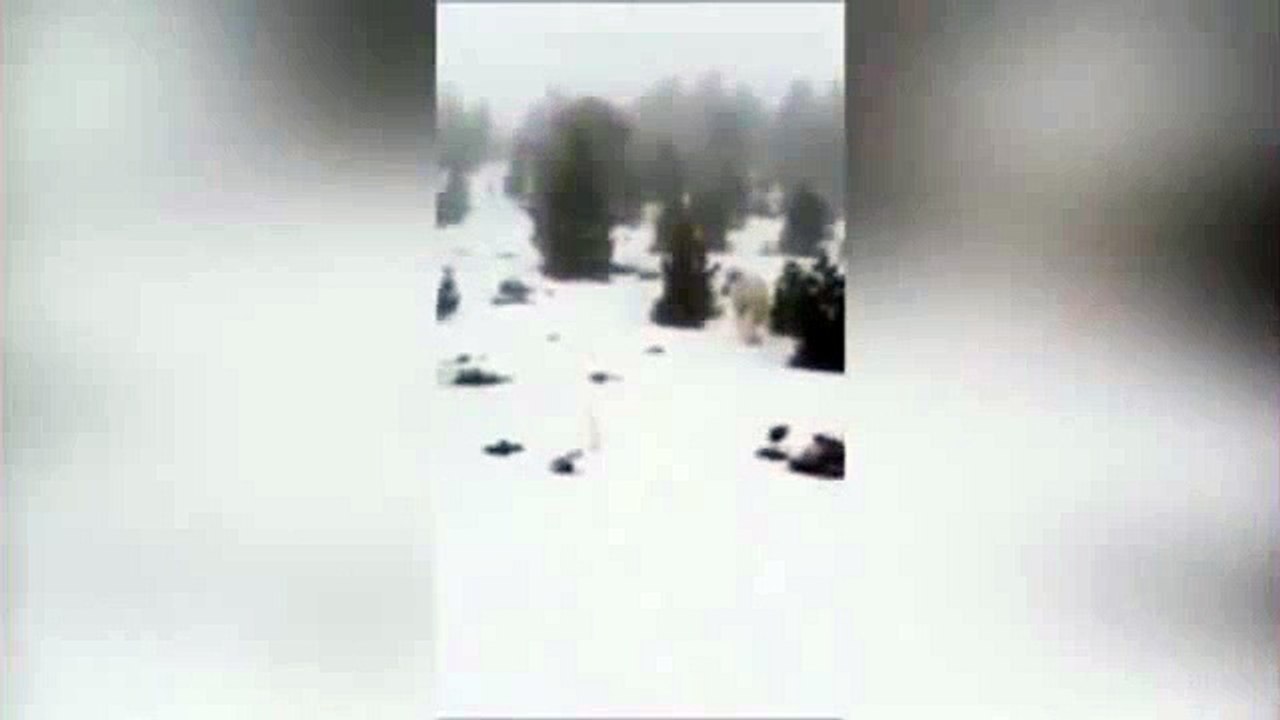 Graban al yeti en una montaña de España