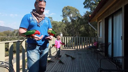 Il sort sur son patio et se met à siffler, gardez bien un oeil sur ses mains, ouah!